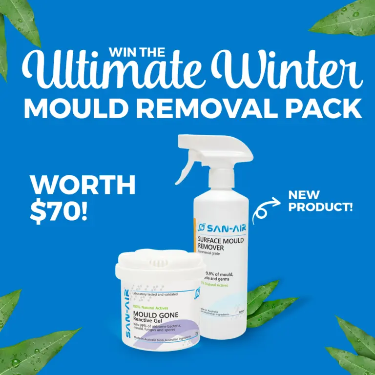 Instagram post from sanairnz. This post is in position 2.