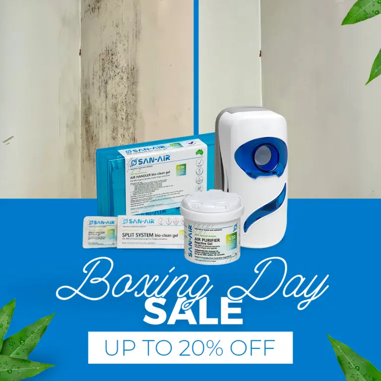 Instagram post from sanairnz. This post is in position 4.